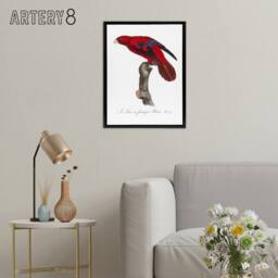 "Artery8 The Blue Fringed Red Lori Parrot Levaillant Framed Canvas Wall Art in White - Size: W12"" x H16""" - thumbnail 3