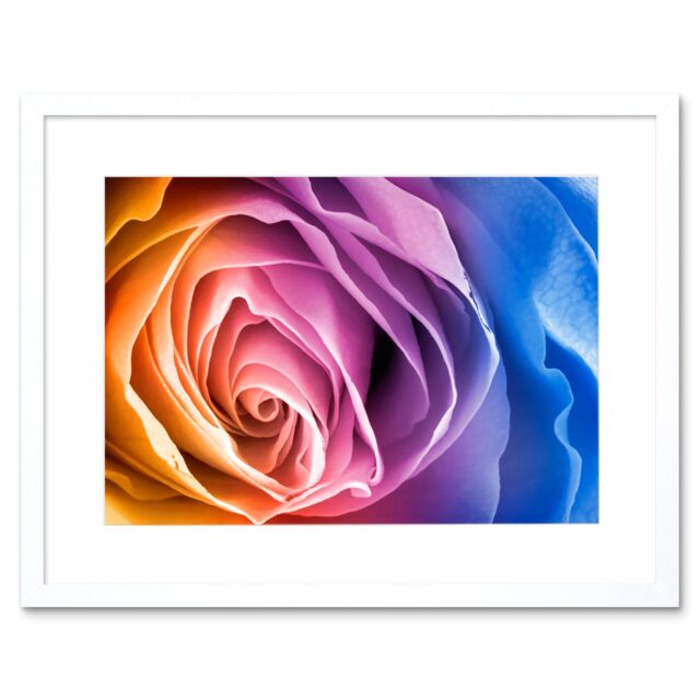 "Artery8 Wall Art Print Rainbow Rose Photo Edit Art Black Framed 9x7 inch in White - Size: W7"" x H9""" - image 1