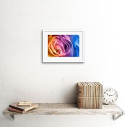 "Artery8 Wall Art Print Rainbow Rose Photo Edit Art Black Framed 9x7 inch in White - Size: W7"" x H9""" - thumbnail 2