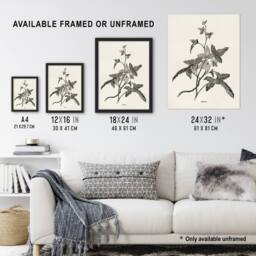 "Artery8 Vintage Botanical Minima Ivy Shirley Hibberd Wall Art Poster Print in White - Size: W12"" x H16""" - thumbnail 3