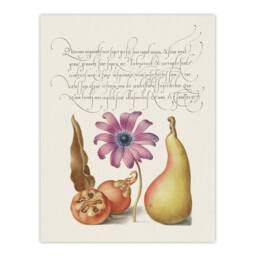 "Artery8 Medlar Poppy Anemone & Pear Calligraphy Wall Art Poster Print in White - Size: W12"" x H16""" - thumbnail 1