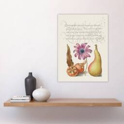 "Artery8 Medlar Poppy Anemone & Pear Calligraphy Wall Art Poster Print in White - Size: W12"" x H16""" - thumbnail 4