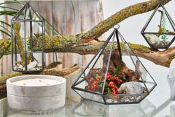 KDMD Glass Terrarium - Large Diamond in Brown - thumbnail 3