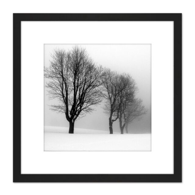 Artery8 Stemberovi Trees Winter Mist Black White Photo 8X8 Inch Square Wooden Framed Wall Art Print Picture with Mount - image 1