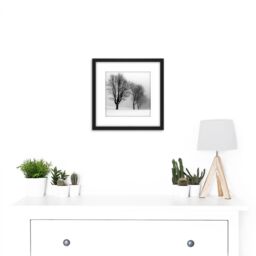 Artery8 Stemberovi Trees Winter Mist Black White Photo 8X8 Inch Square Wooden Framed Wall Art Print Picture with Mount - thumbnail 2