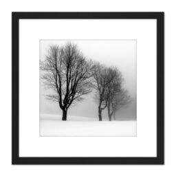 Artery8 Stemberovi Trees Winter Mist Black White Photo 8X8 Inch Square Wooden Framed Wall Art Print Picture with Mount - thumbnail 1