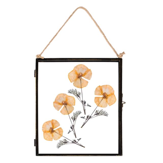 "Nicola Spring Hanging Metal Photo Frame - 8"" x 10"" - Picture Frame Wall Mounted Frame with Rope in Black" - image 1