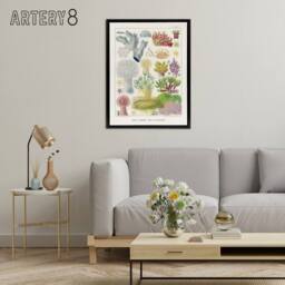 "Artery8 Great Barrier Reef Alcyonaria Kent Framed Canvas Wall Art Print in White - Size: W12"" x H16""" - thumbnail 3