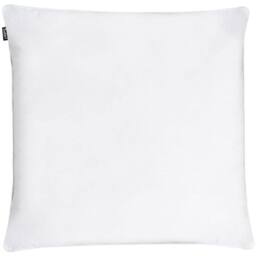 Wyld and Coco 80 x 80 cm Duck Feather and Down Pillow - Japara Cotton Cover Soft in White