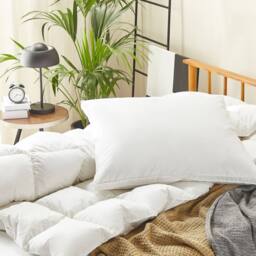 Wyld and Coco 80 x 80 cm Duck Feather and Down Pillow - Japara Cotton Cover Soft in White - thumbnail 3