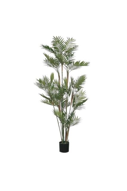 KDMD Green Parlour Potted Palm 5ft - image 1