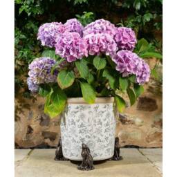 Jardinopia Moongazing Hare Plant Pot Feet - Set of 3 in Bronze - thumbnail 3