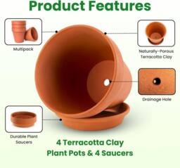 volila 15cm Terracotta Plant Pots with Saucer for Flowers, Herbs & Plants - Pack of 4 - Size: Large - thumbnail 4