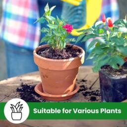 volila 15cm Terracotta Plant Pots with Saucer for Flowers, Herbs & Plants - Pack of 4 - Size: Large - thumbnail 6