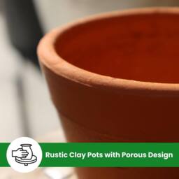 volila 15cm Terracotta Plant Pots with Saucer for Flowers, Herbs & Plants - Pack of 4 - Size: Large - thumbnail 5