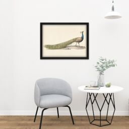 "Artery8 Wall Art Print Pieter Pietersz Barbiers Blue Peacock Still Life Large Framed Wall Décor Art in Brown - Size: W18"" x H24""" - thumbnail 2