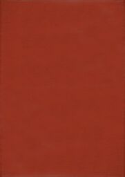 THE RUGS Reversible Weatherproof Outdoor Terra Rug Solid Urban 1000 in Terracotta - Size: 120 cm x 160 cm - thumbnail 2