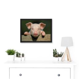 Artery8 Pig Piglet Cute Farm Pink Baby Babe A4 Artwork Framed Wall Art Print in Black - thumbnail 2