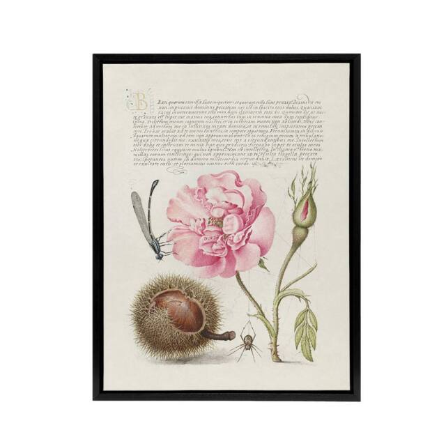 "Artery8 Damselfly Rose Chestnut Spider Calligraphy Framed Canvas Wall Art in White - Size: W12"" x H16""" - image 1