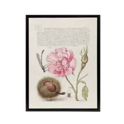 "Artery8 Damselfly Rose Chestnut Spider Calligraphy Framed Canvas Wall Art in White - Size: W12"" x H16""" - thumbnail 1
