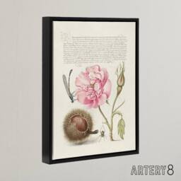 "Artery8 Damselfly Rose Chestnut Spider Calligraphy Framed Canvas Wall Art in White - Size: W12"" x H16""" - thumbnail 2