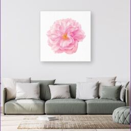 Warren Reed - Designer Single Cherry Blossom Canvas in Pink - Size: w40 inch x h40 inch - thumbnail 4