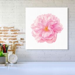 Warren Reed - Designer Single Cherry Blossom Canvas in Pink - Size: w40 inch x h40 inch - thumbnail 2
