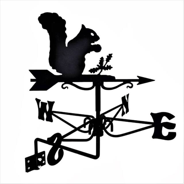 Buttercup Farm Mini Squirrel Weathervane - Steel - L38 x W38 x H49 cm - Black - image 1