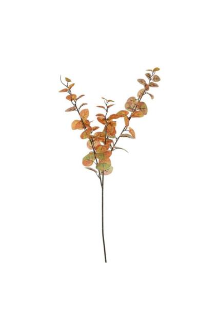 KDMD Essential Orange Green Eucalyptus Stem 2 Pack - image 1