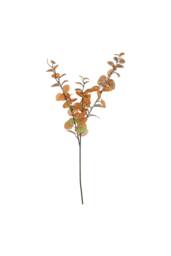 KDMD Essential Orange Green Eucalyptus Stem 2 Pack
