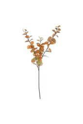 KDMD Essential Orange Green Eucalyptus Stem 2 Pack - thumbnail 2
