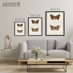 "Artery8 Darling Underwing Moth Illustration Denton Framed Canvas Wall Art in White - Size: W12"" x H16""" - thumbnail 4