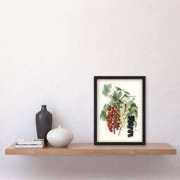 Artery8 Black Naples Victoria White Dutch Currants Wright Framed Art Print - Size: A4 - thumbnail 4