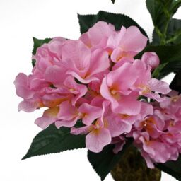 Leaf 55cm Artificial Pink Hydrangea Plant - thumbnail 3