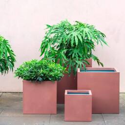 Primrose Outdoor Zinc Square Cube Planter Copper Finish Weather Resistant 60cm - thumbnail 7