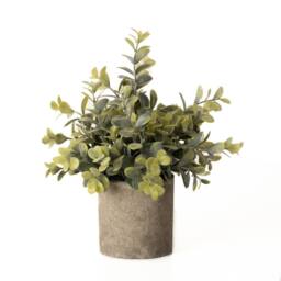 Wyld Haus Eucalyptus Artificial Plant in Stone Effect Pot in Green - Size: Small - thumbnail 2