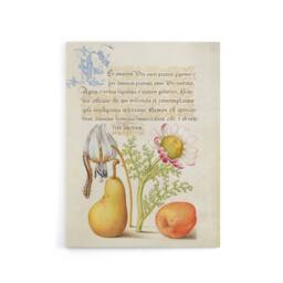 "Artery8 Caterpillar Flowers & Fruit Calligraphy Canvas Wall Art Print - Size: W12"" x H16""" - thumbnail 1