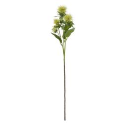 Lemon Pavilion Furniture and Decor Safflower Spray (Single Stem Flower) - Plastic - Height 57 cm - Green - thumbnail 1