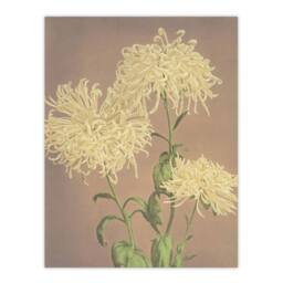 "Artery8 Three Yellow Chrysanthemum Vintage Japan Wall Art Print Kazumasa - Size: W12"" x H16""" - thumbnail 1