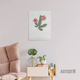 "Artery8 Francis Sansom Erica Glauca Elegans Flower Bloom Canvas Wall Art Print in White - Size: W12"" x H16""" - thumbnail 3