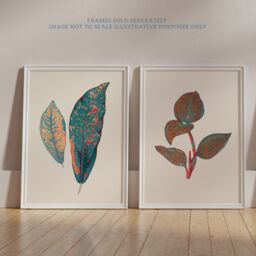 Artery8 Wall Art Print Pack of 2 A4 Vintage Botanical Fauna Coral Pink & Teal Blue Detailed Plant Leaves Living Room s Set - thumbnail 6