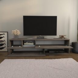 Sunny Modern TV Stand with storage