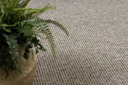 RugsX Wall-to-wall Prius Rug in Beige - Size: 200 cm x 200 cm - thumbnail 5