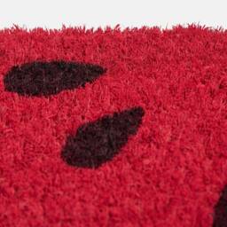 OHS Watermelon Shaped Coir Doormat Novelty Non Slip Door Rug in Red - Size: Medium - thumbnail 6