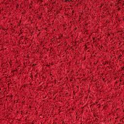 OHS Watermelon Shaped Coir Doormat Novelty Non Slip Door Rug in Red - Size: Medium - thumbnail 7