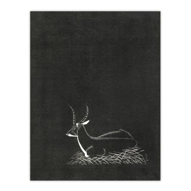 "Artery8 Stylised Waterbuck Painting De Mesquita Wall Art Poster Print in Black - Size: W24"" x H32""" - image 1