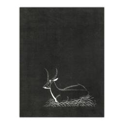 "Artery8 Stylised Waterbuck Painting De Mesquita Wall Art Poster Print in Black - Size: W24"" x H32""" - thumbnail 1