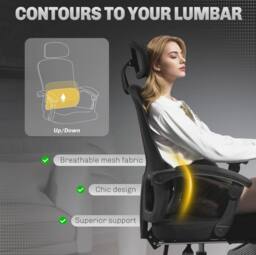 STILVORA Ergonomic Office Chair with Lumbar Support & Headrest in Black - thumbnail 5