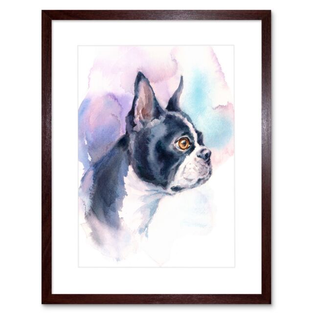 "Artery8 Wall Art Print Dog Boston Terrier Watercolour Art Framed 9x7 inch in Brown - Size: W7"" x H9""" - image 1