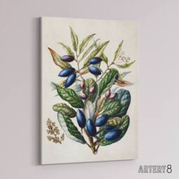"Artery8 New Zealand Taraire Fruit Branch Featon Canvas Wall Art Print in Beige - Size: W12"" x H16""" - thumbnail 2